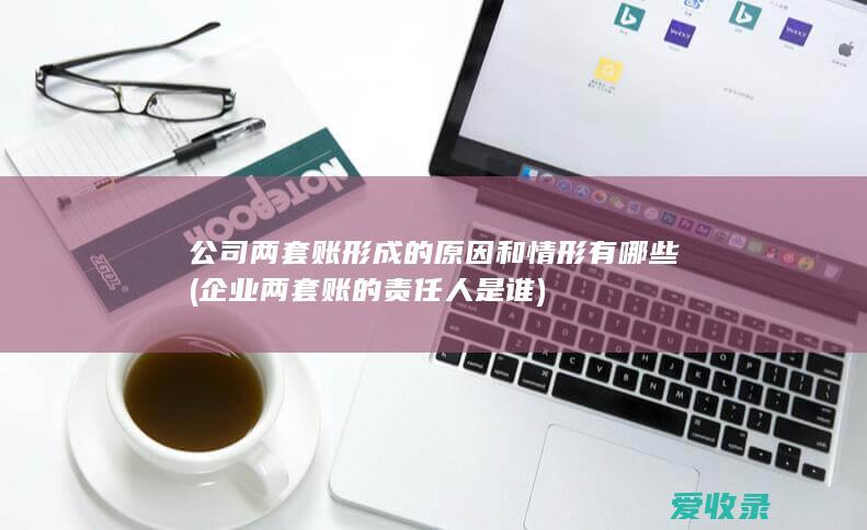 公司两套账形成的原因和情形有哪些(企业两套账的责任人是谁)