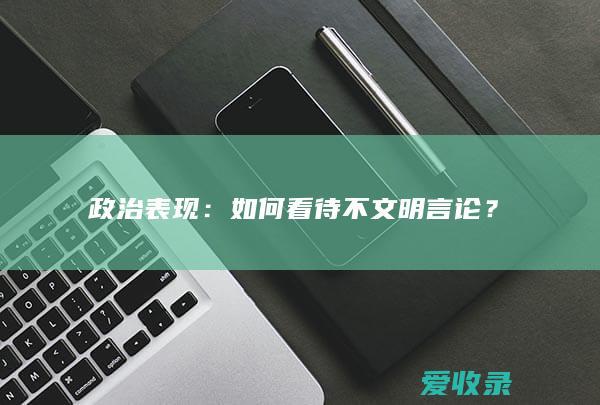 政治表现：如何看待不文明言论？