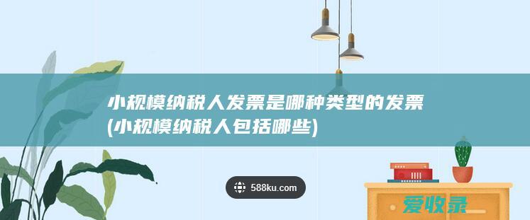 小规模纳税人发票是哪种类型的发票(小规模纳税人包括哪些)