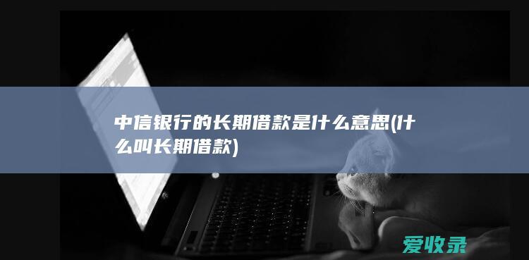 中信银行的长期借款是什么意思(什么叫长期借款)