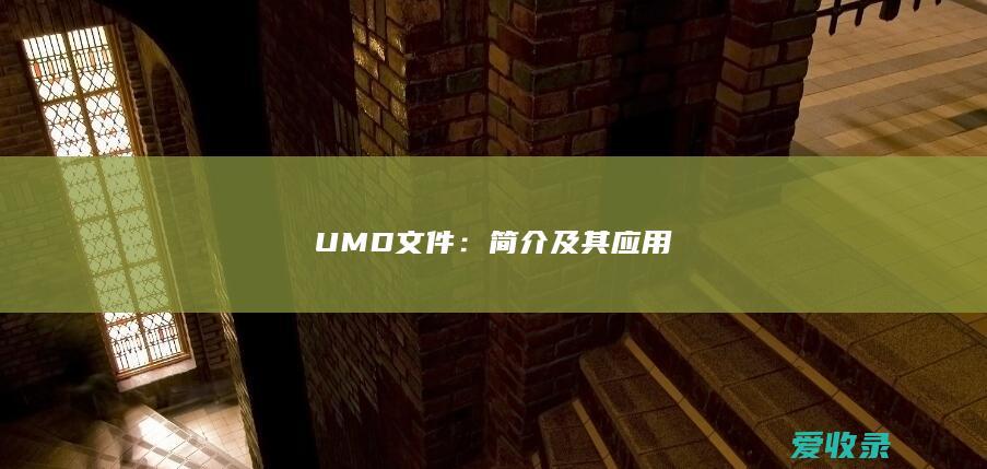 UMD文件：简介及其应用