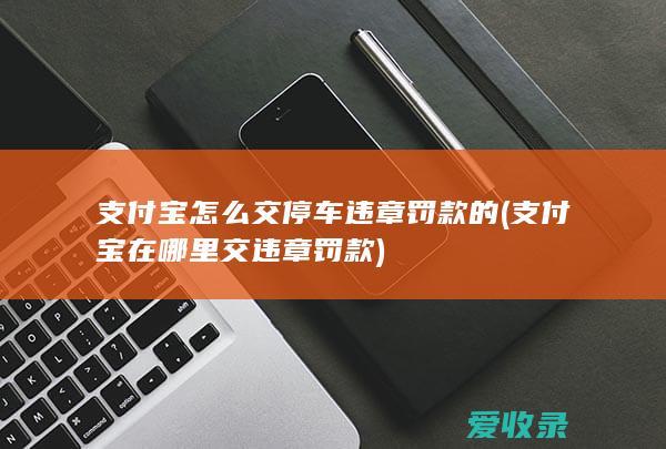 支付宝怎么交停车违章罚款的(支付宝在哪里交违章罚款)