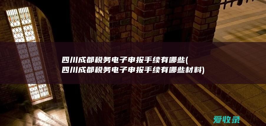 四川成都税务电子申报手续有哪些(四川成都税务电子申报手续有哪些材料)