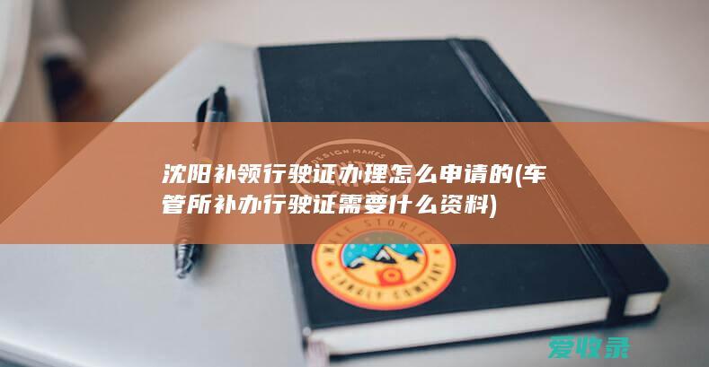 沈阳补领行驶证办理怎么申请的(车管所补办行驶证需要什么资料)