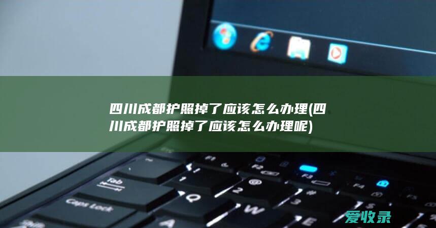 四川成都护照掉了应该怎么办理(四川成都护照掉了应该怎么办理呢)