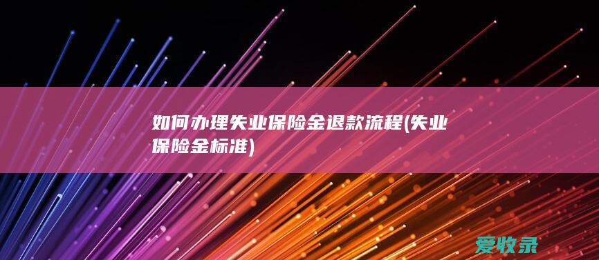 如何办理失业保险金退款流程(失业保险金标准)