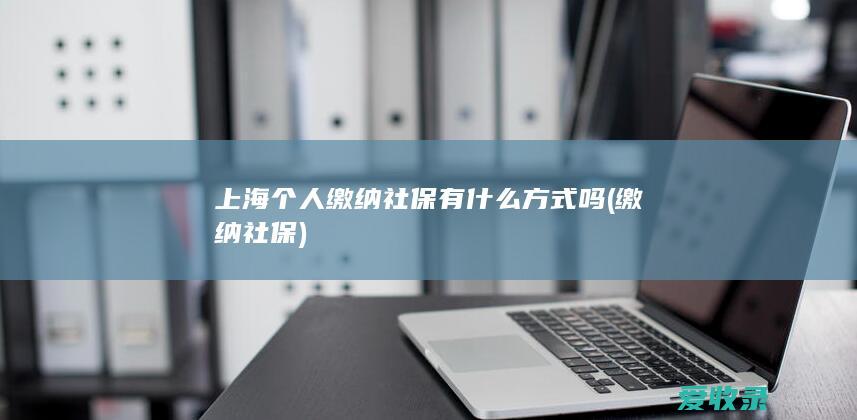 上海个人缴纳社保有什么方式吗(缴纳社保)