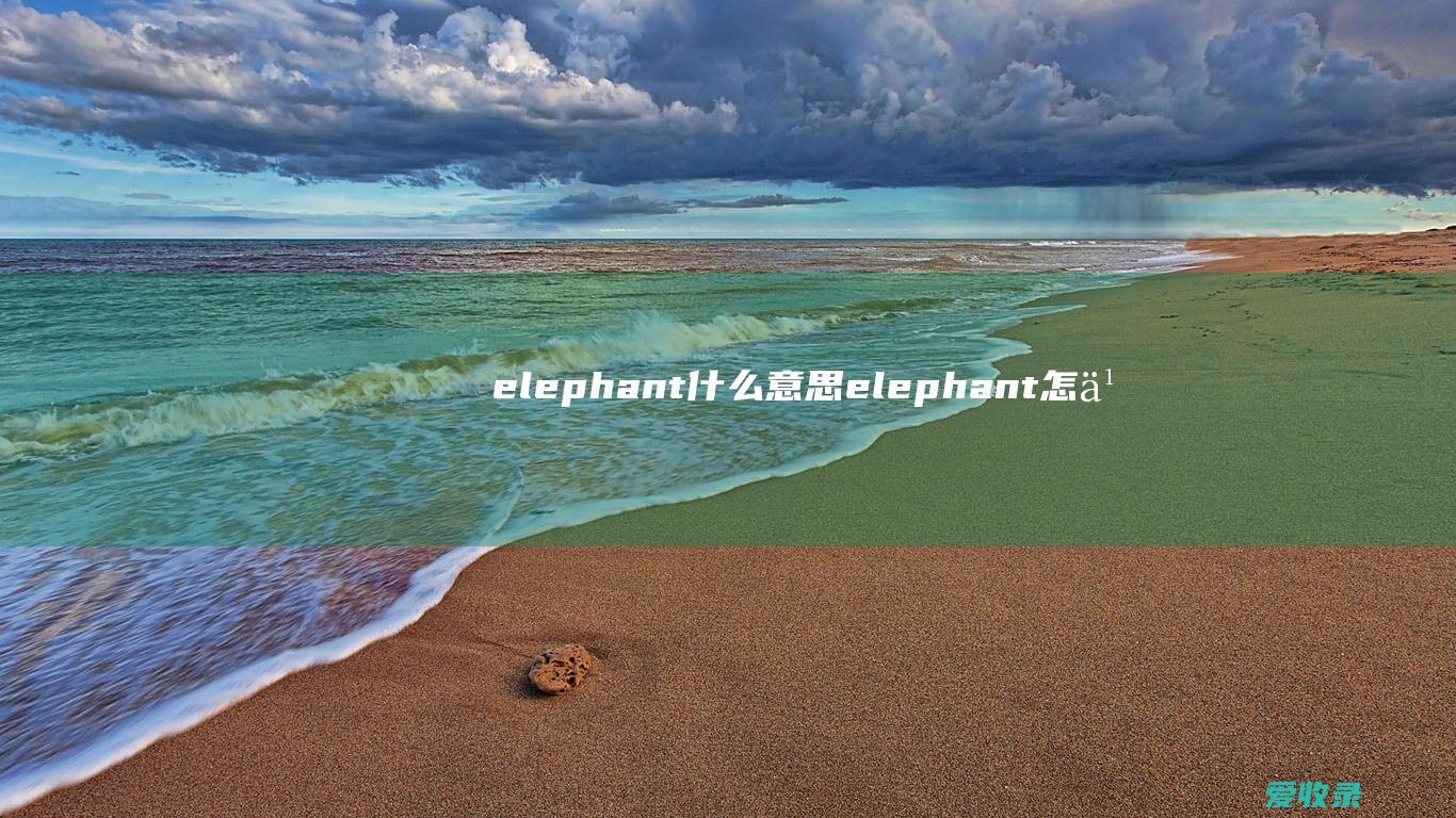 elephant什么意思 elephant怎么读