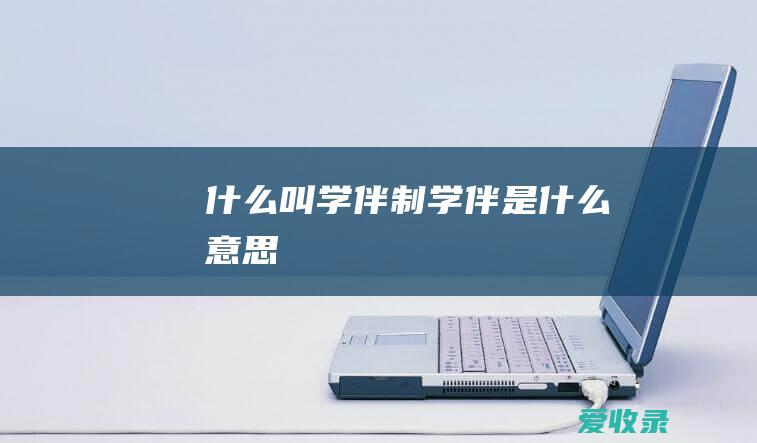 什么叫学伴制 学伴是什么意思