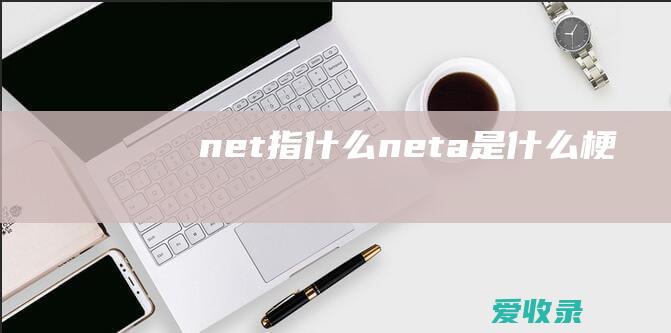 net指什么 neta是什么梗