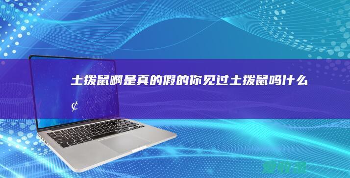 土拨鼠啊是真的假的 你见过土拨鼠吗什么梗