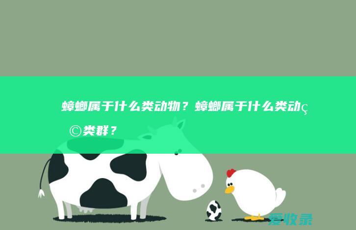 蟑螂属于什么类动物？蟑螂属于什么类动物类群？