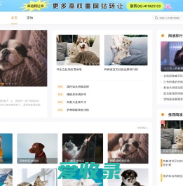 训犬教程,训犬视频,狗狗训练技巧,训狗教材资料