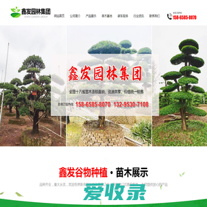 郓城县鑫发谷物种植专业合作社