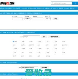 域名批量查询,域名查询工具