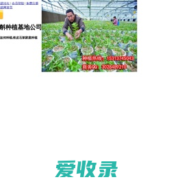 北京铁皮石斛种植基地公司