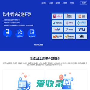 软件网站定制开发公司