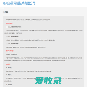 海南游翼网络技术有限公司