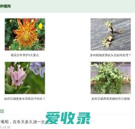 农业种植网