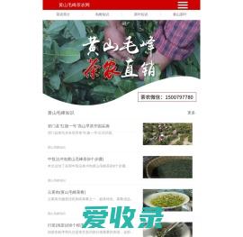 黄山毛峰茶农网