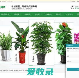 绿植租赁