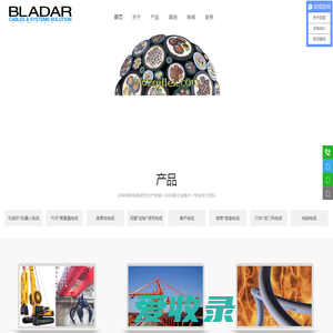 贝力达/BLADAR/BLDZGJFLEX