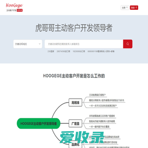 HOOGEGE虎哥哥全球营销数字化平台