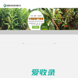 四川成都黄精种植技术培训,重楼种子