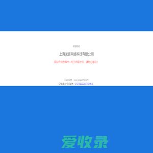 上海龙言网络科技有限公司