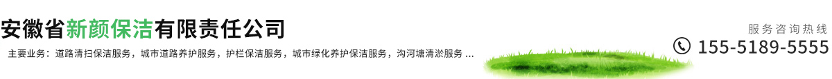 安徽省新颜保洁有限责任公司