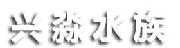 苏州兴淼水族设备有限公司,大型玻璃鱼缸,海鲜池,超市鱼缸,酒店鱼缸