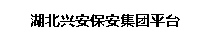 湖北兴安保安集团有限公司探马微平台