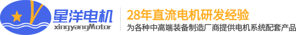 江苏星洋电机科技有限公司